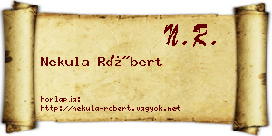 Nekula Róbert névjegykártya